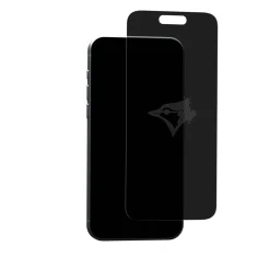 Custom Glass Toronto Blue Jays - Custom Privacy Glass